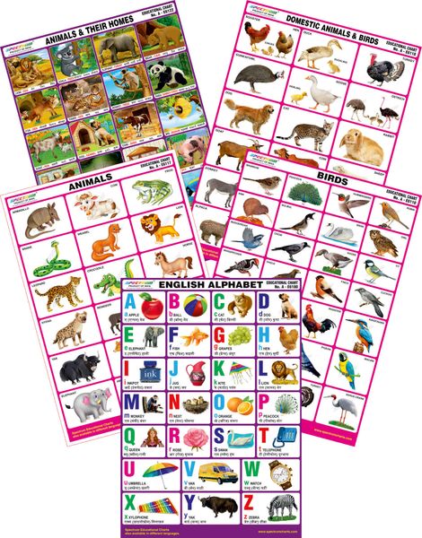 Spectrum Mirror Coat Educational Charts (Set of 5) : Set 118 ( English  Alphabet , Animals , Birds , Animals & Their Homes & Domestic Animals )