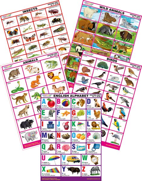 Spectrum Mirror Coat Educational Charts Set Of 5 Set 119 English