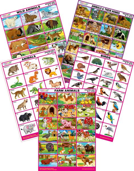 Spectrum Mirror Coat Educational Charts Set Of 5 Set 129 Farm