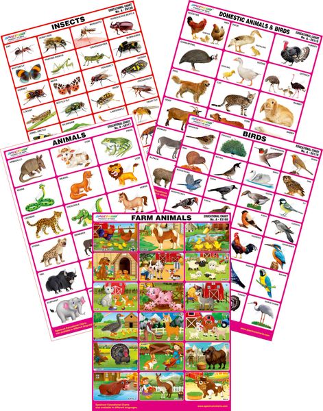 Spectrum Mirror Coat Educational Charts Set Of 5 Set 132 Farm