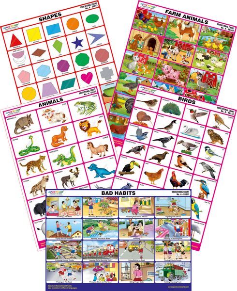 Spectrum Mirror Coat Educational Charts Set Of 5 Set 134 Farm