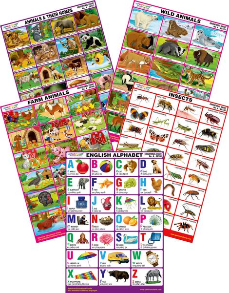 Spectrum Mirror Coat Educational Charts (Set of 5) : Set 139 ( English ...