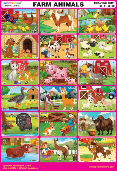Spectrum Mirror Coat Educational Charts (Set of 5) : Set 139 ( English  Alphabet, Farm Animals, Insect, Animals