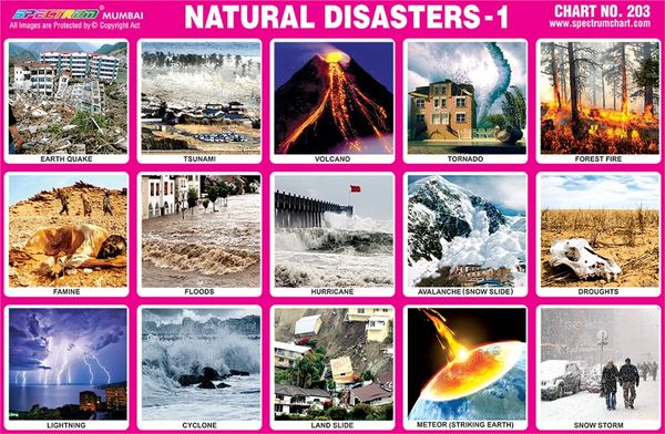 chart-no-203-natural-disasters-1