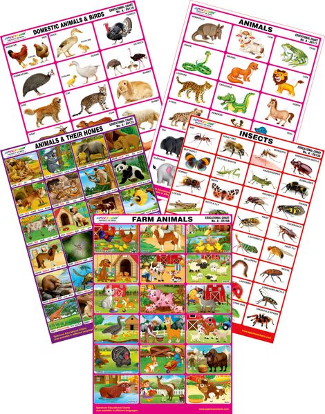 Spectrum Mirror Coat Educational Charts (Set of 5) : Set 153 ( Farm Animals,  Animals & Their Homes, Insect, Domestic Animals & Animals )
