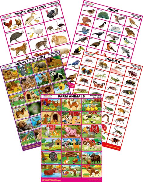 Spectrum Mirror Coat Educational Charts Set Of 5 Set 154 Farm