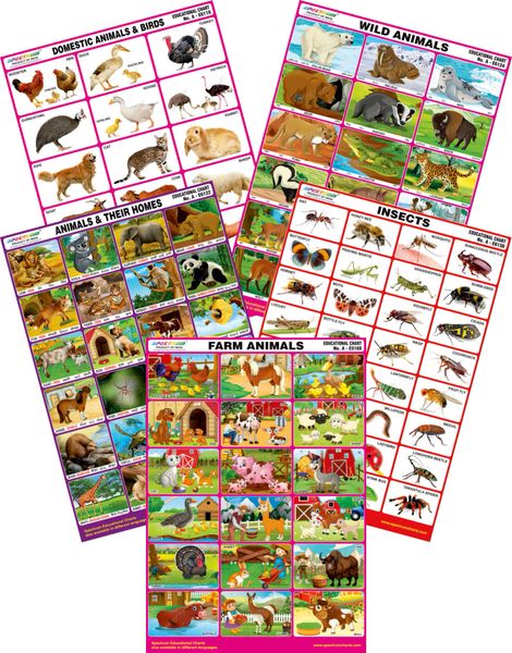 Spectrum Mirror Coat Educational Charts (Set of 5) : Set 156 ( Farm ...