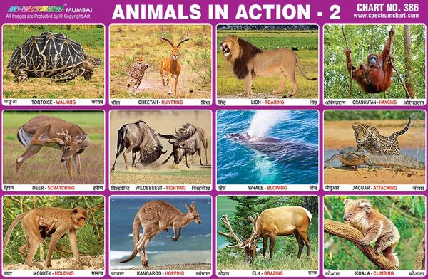 Chart No. 386 - Animals in Action - 2