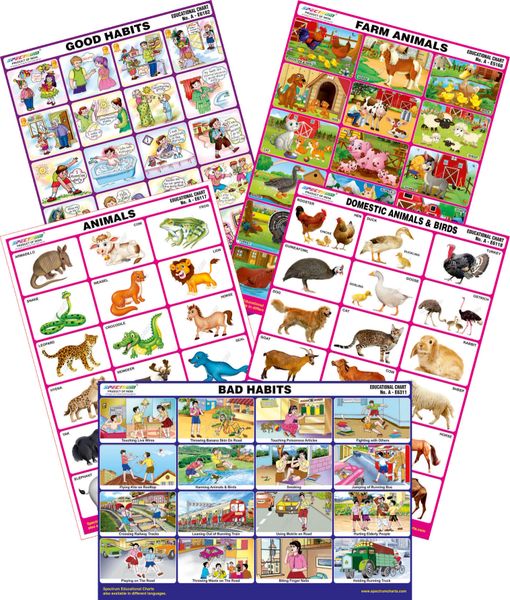 Spectrum Mirror Coat Educational Charts Set Of 5 Set 162 Farm