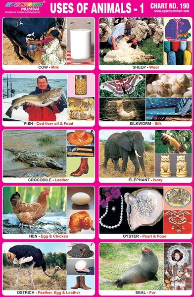Chart No. 190 - Uses of Animals - 1