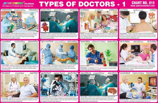 Chart No 815 Types Of Doctors 1
