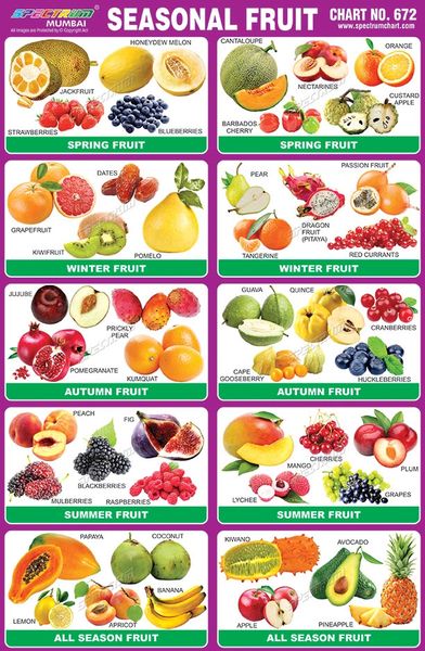 chart-no-672-seasonal-fruits