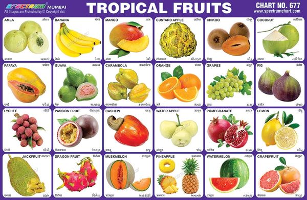 Chart No. 677 - Tropical Fruits