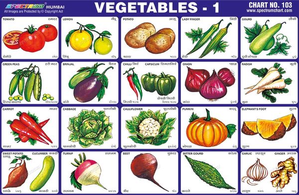 vegetables-chart-images