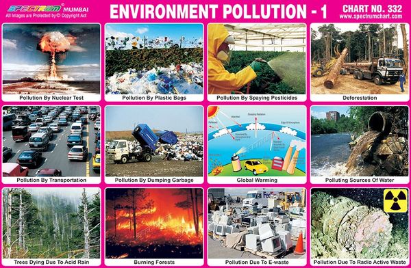 Chart No. 332 - Environment Pollution - 1