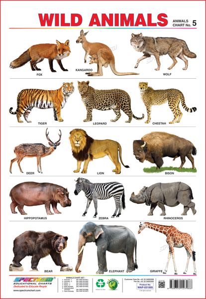 Wild Animals