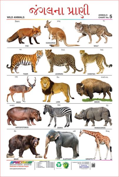 top-191-5-domestic-animals-name-in-hindi-lestwinsonline