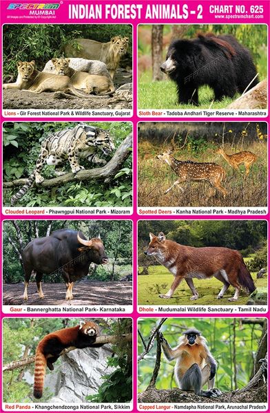 Chart No. 625 - Indian Forest Animals - 2