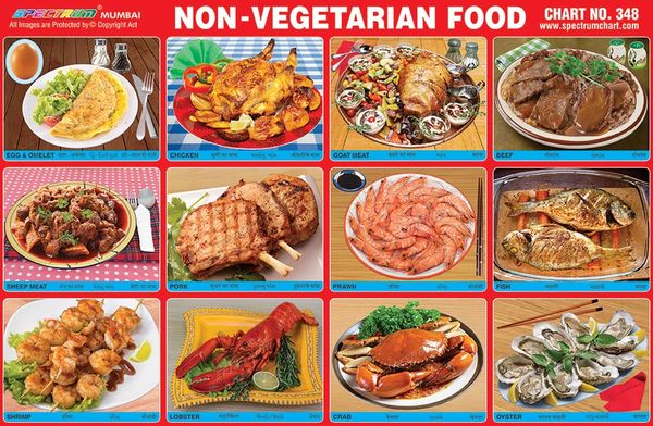 Chart No. 348 - Non - Vegetarian Food