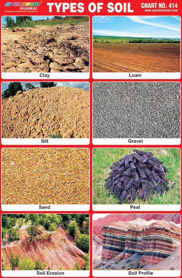 types of soil chart