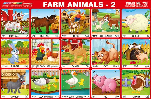 Chart No. 738 - Farm Animals - 2