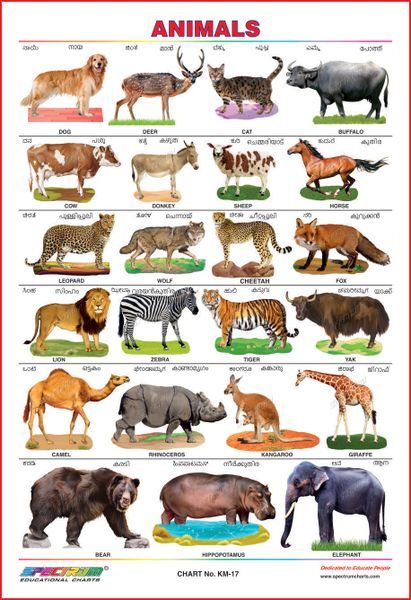 Animals (Kannada & Malayalam)