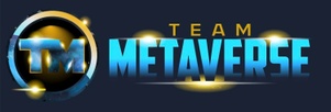 Team Metaverse