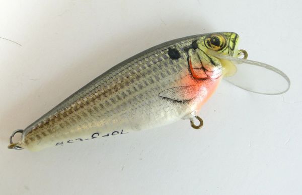 Bagleys Field Test Fishing Lure SHAD