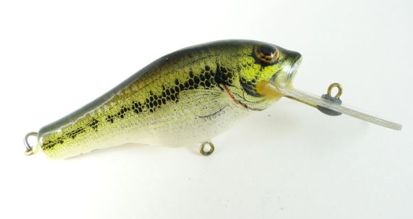 Bagleys EX+ Field Test Fishing Lure BASS