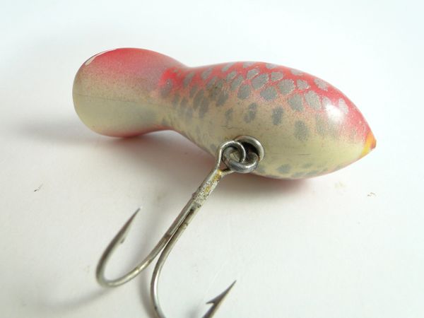 Rush Tango Trout Tango Lure 6 Pack - Fin & Flame