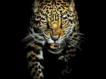 T-shirt Jaguar 