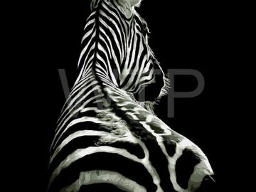 T-shirt Zebra