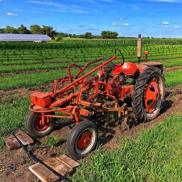 A great help keeping up with cultivation 