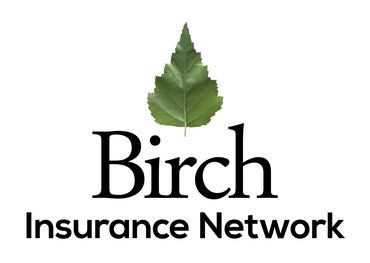 Birch Insurance logo Jacob Stoltz