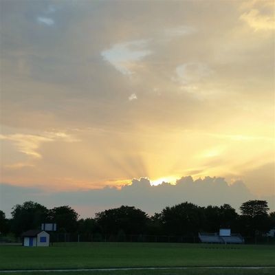 Sun rays coming from behind a bank of clouds with a treeline and green field in the foreground. 