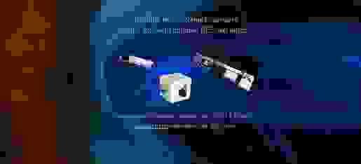image289