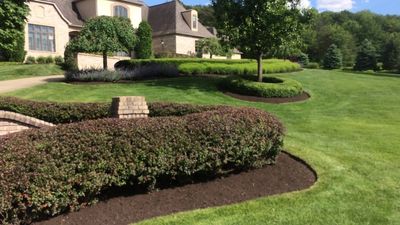 Veteran Professional Lawn Service - Mulch