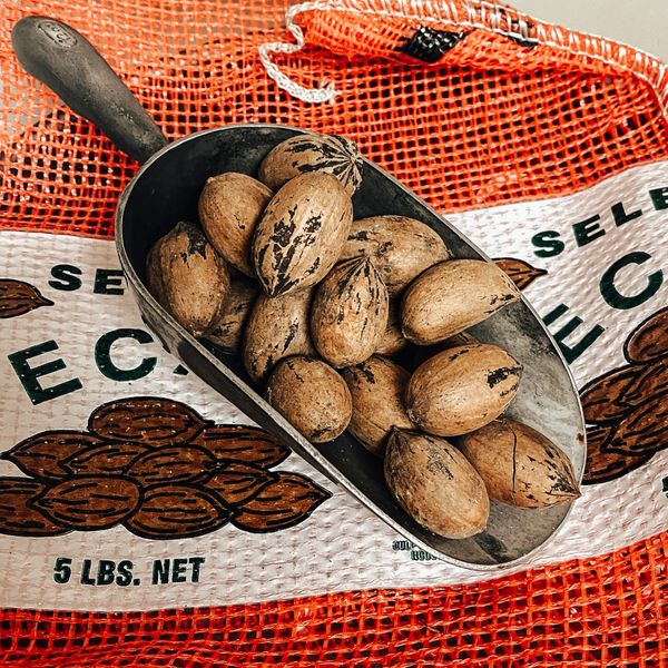 5 lb bag of pecans traditionaljapaneseartdrawing