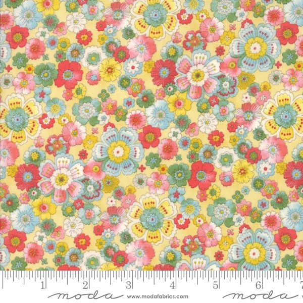 coco-33391-21-by-chez-moi-for-moda-fabrics-the-little-red-hen-quilt-shop