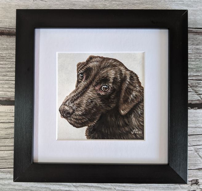 Pet Portraits - Josie Grimes Artworks