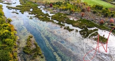 Marshlands in the fall at Lake Erie Metropark