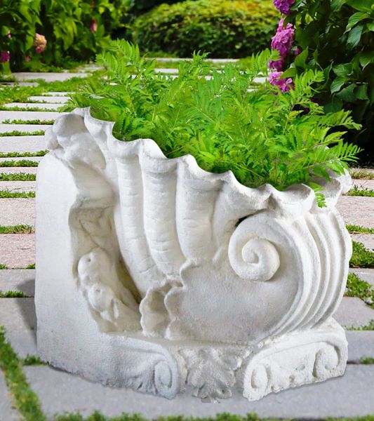 Shell Planter