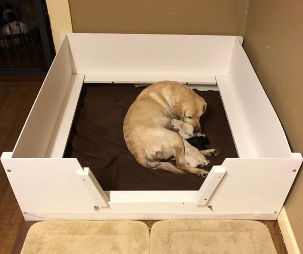 Extra Large Orca Plastic Whelping Box with Floor