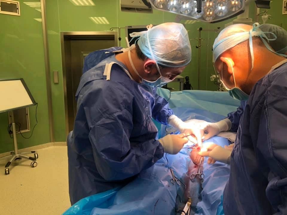 نجاح عملية زراعة دعامات القضيب و الإجراءات المتبعة لضمان نجاح العملية . نجاح عملية زراعة دعامات القضيب و الإجراءات المتبعة لضمان نجاح العملية .