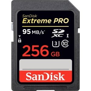 SanDisk Extreme Pro SD Card 256GB (Upto 95MB/s, Class 10)