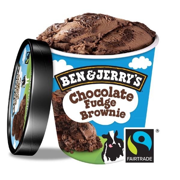 Ben & Jerry's Chocolate Fudge Brownie Ice Cream 458 ml