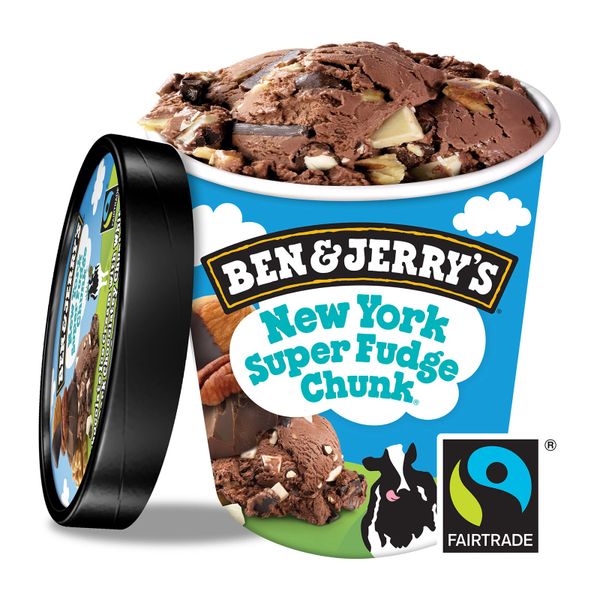 Ben & Jerry's New York Super Fudge Ice Cream 458 ml