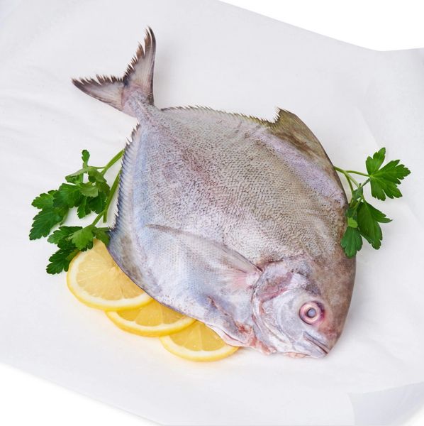 Fresh Black Pomfret (Clean And Gutted) 300 g