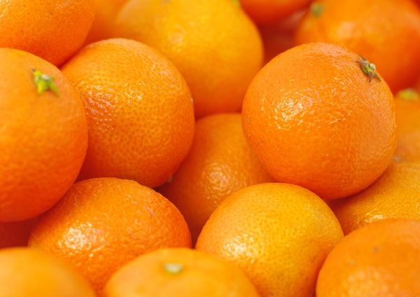 Orange (5 Pieces)