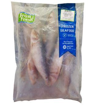 J/Fresh Frozen Sardine Fish 1KG